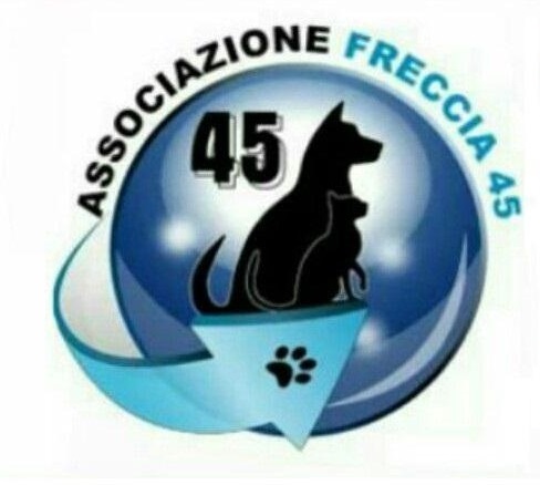 freccia-45