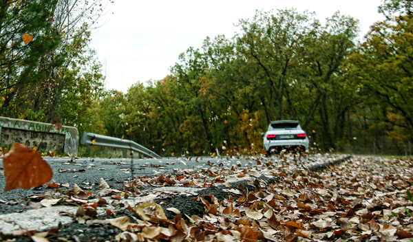 asfalto-scivoloso-foglie-autunno