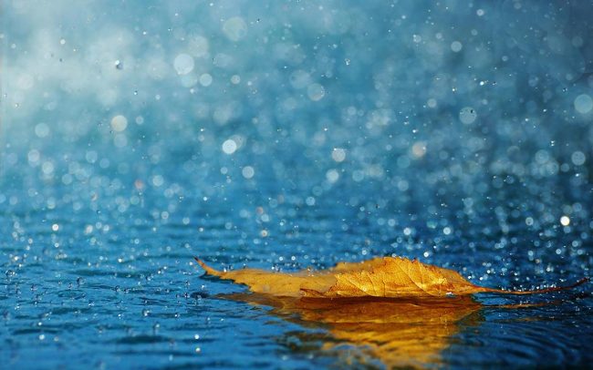 pioggia-autunno